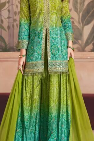 Green Bandhani Palazzo Set Full View